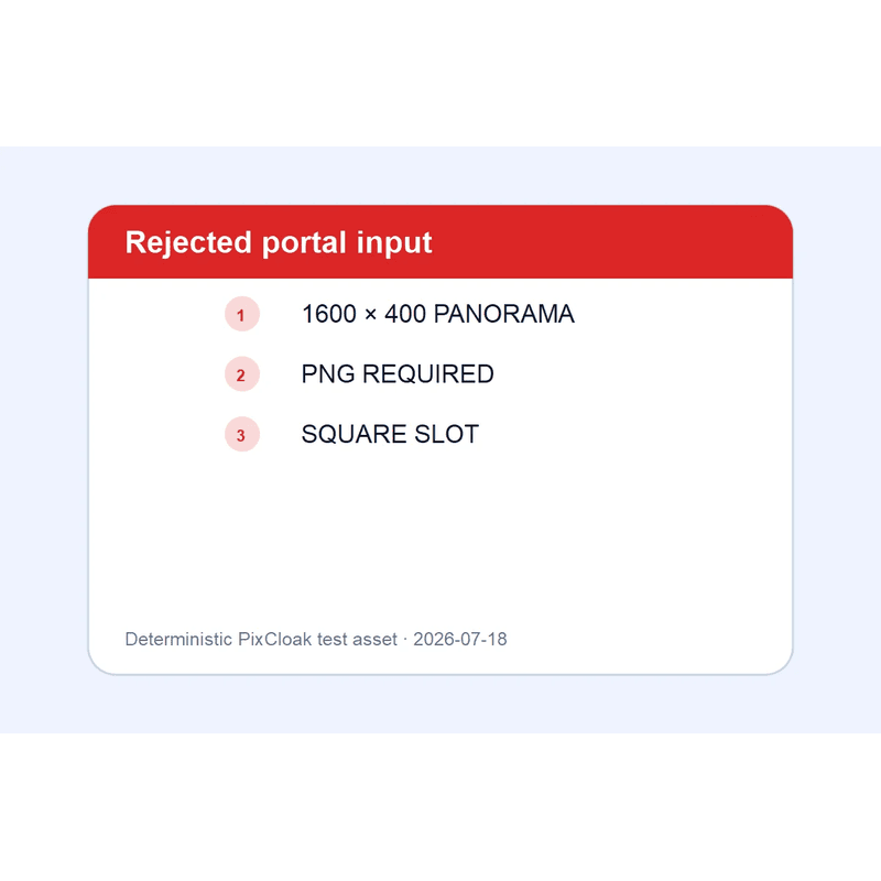 After: 800×800 decodable PNG